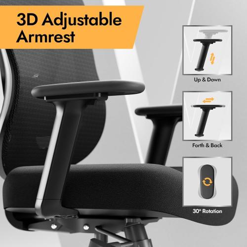 HOLLUDLE Ergonomic Mesh Office Chair - 3D Adjustable Lumbar Support & 3D Armrests, V-Shaped Back, Adjustable Desk Chair for Office & Home, Black