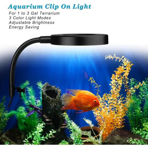 DOMICA Clip On Aquarium Light for 1 to 3 Gal Fish Tank (Dimmable White Blue Red LED) USB Moving Lamp for Open Terrarium (Adapter NOT Included)