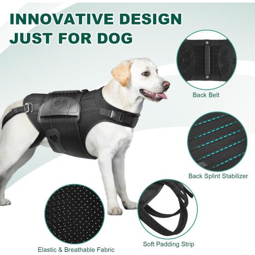 Dog Back Brace for IVDD, Arthritis, Slipped and Herniated Discs – Provides Back Support and Pain Relief, Stabilizes Spine for Surgical Recovery and Mobility, Dogs Back Disease Prevention(Black,L)