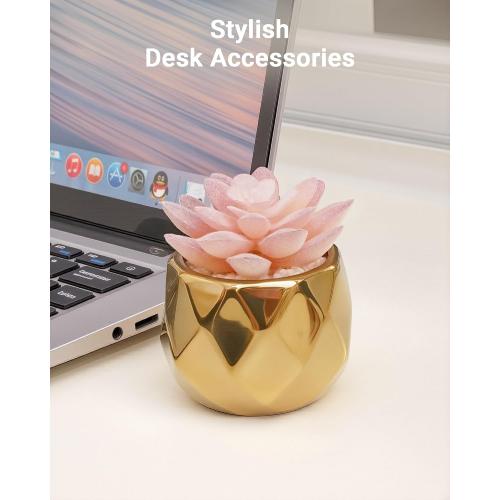 VIVERIE Mini Succulents Plants Artificial in Pots-Pink Succulents with Golden Ceramic, Small Fake Succulents for Home Decor Indoor for Women, White Ceramic Faux Succulents, Gifts for Mom-1 Pack