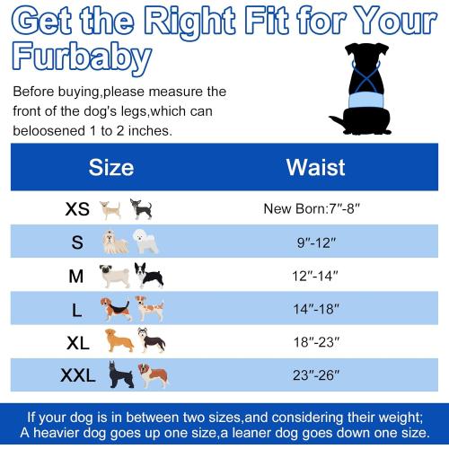 Dono Reusable Belly Bands for Male Dogs with Suspender, 3 Pack Washable Dog Diapers Male, High Absorbency Male Dog Wraps, Leakproof Doggie Puppy Doggy Diapers, Sharks Dinosaurs Trucks, Medium