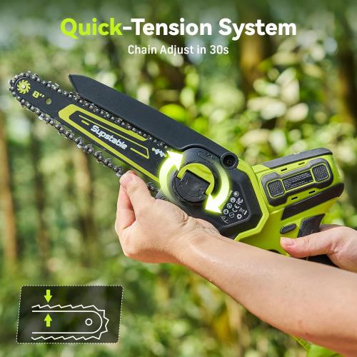 Electric Pole Saws for Tree Trimming, 8 Inch & 6 Inch Mini Chainsaw Cordless with Extension Pole, 16Ft Reach, 2x4.0Ah Battery, Auto Oiling, Tool-Free Chain Tensioning, Tree Trimmer for Branch Limb Cut