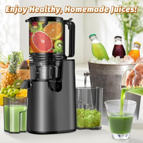 LQZ Cold Press Juicer, Masticating Juicer with Wide Feed Chute, Slow Juicer Machines Fit Whole Vegetables and Fruits with High Juice Yield, Easy to Clean (Black)
