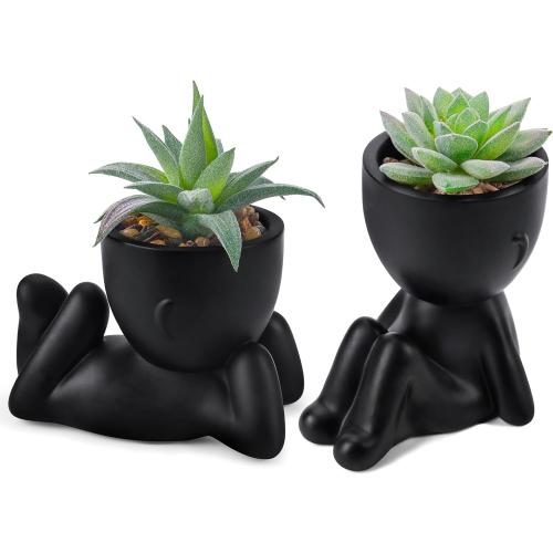 Der Rose Set of 2 Color Black  Fake Plants Artificial Succulent Plants for Office Desk Accessories Black Bathroom Home Room Aesthetic Decor Indoor