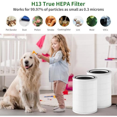 1-Pack 12010 Replacement Filter Compatible with Clorox Large Room Up to 1,500 Sq. Ft. Purifier, Model # 11010 & 11011