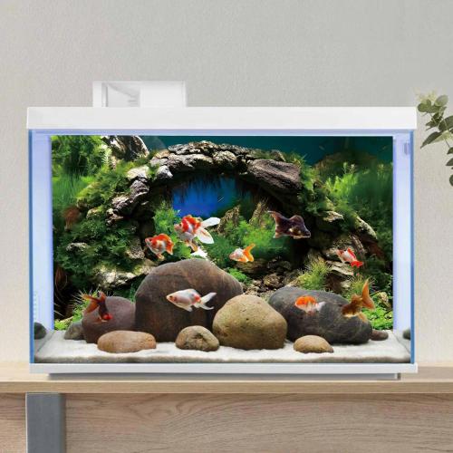 48x24 in Arch Stone Aquarium Backdrop Aquatic Plant Fish Tank Background | AWERT River Bed & Lake Vinyl Terrarium Background