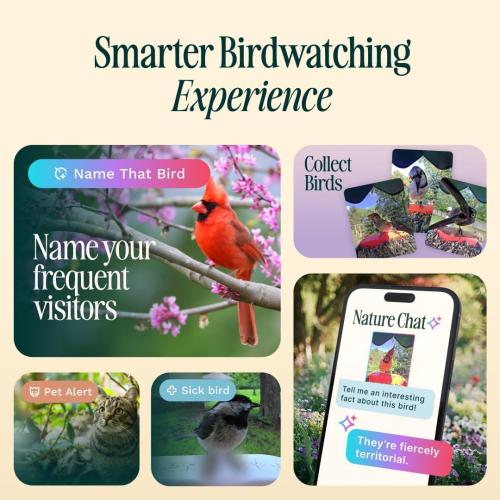 Birdbuddy PRO Solar Smart Bird Feeder with Camera - AI Bird Species Identification, 5MP Photos, 2K HD Video Live Stream Camera, Slow-Motion Video, 2.6in Focus - Blue Solar