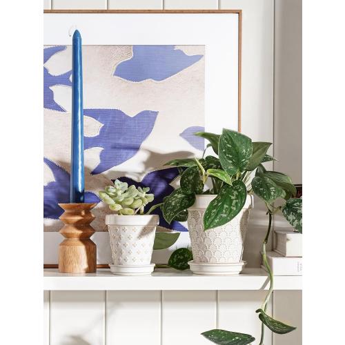 Size 4 inch set of 4 Color White LE TAUCI Ceramic Succulent Pots, 4 Inch Small Plant Pot for Indoor Plant Cactus, Embossed Flower Pots with Drainage Hole & Saucer - Set of 4, Arctic White