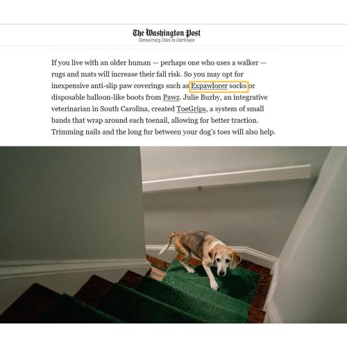 EXPAWLORER 6Pcs Anti-Slip Dog Socks to Prevent Licking Paws,Dog Shoes for Hot/Cold Pavement,Best Paw Protector Traction Control on Hardwood Floor,Dog Booties for Puppy Small Medium Large Senior Dogs