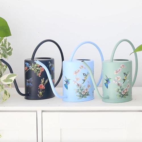 Size 1.5L Color Green Watering Can for Indoor House Plants - Cute Decorative Metal Gardening Small Water Can for Houseplants & Flowers with Long Spout - 1.5L 51floz 0.4 Gallon (Hummingbird Sage)