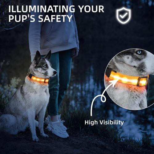 Super Bright LED Dog Collar, Waterproof Light up Collars(Orange, Large)