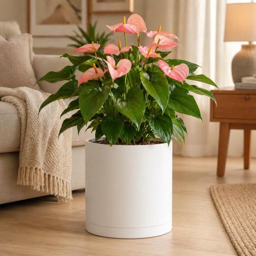 Giraffe Creation 14-Inch Round Cylinder Plant Pot, Modern Indoor/Outdoor Planter with Drainage Hole, Saucer & Water Reservoir, White