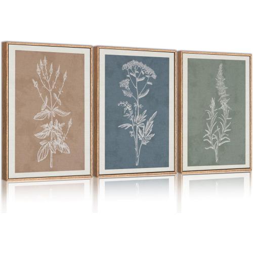 HLNIUC Neutral Botanical Framed Wall Art Set, Boho Minimalist Plant Canvas Wall Decor, Vintage Leaf Wall Painting, Nature Floral Silhouette Art Print for Bedroom, Living Room, Study - 16”x24”x3