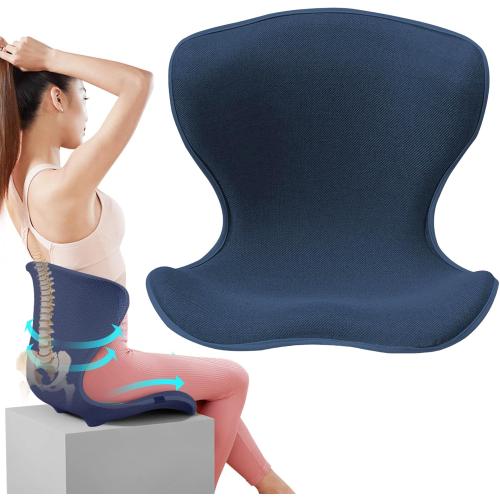 Lumbar Support for Office, Ergonomic Back Cushion for Lower Pain Relief, Improve Posture, Floor Seat,Meditation Chair, Chair Back Support for Computer Chairs, Gaming,Home - Working. (Blue)