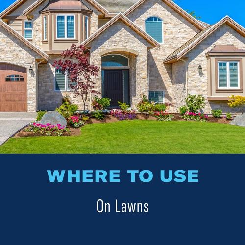 BioAdvanced 24-Hour Grub Plus for Lawns, Ant, Tick, Insect Killer Outdoor, 10-Pounds, Ready-to-Spread Granules, Standard Bag