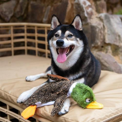 Best Pet Supplies Squeaky Dog Toys with Soft Durable Fabric for Small, Medium and Large Pets Interactive Toy for Indoor Play, Supports Active Biting and Play - 4 Figures, Small