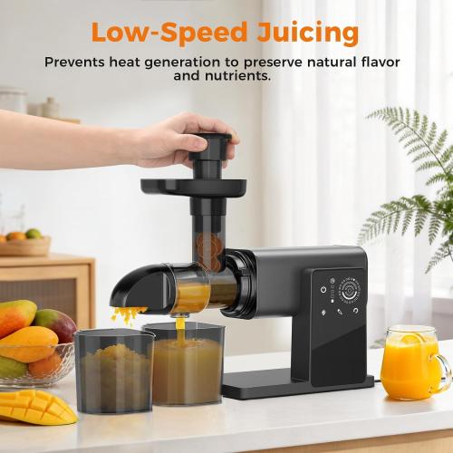 Cold Press Juicer Machines, Slow Masticating Juicers with LED Smart Touch Screen, Professional Extractor for Leafy Greens, Kale & Fibrous Vegetables, 2 Modes & Reverse, BPA-Free