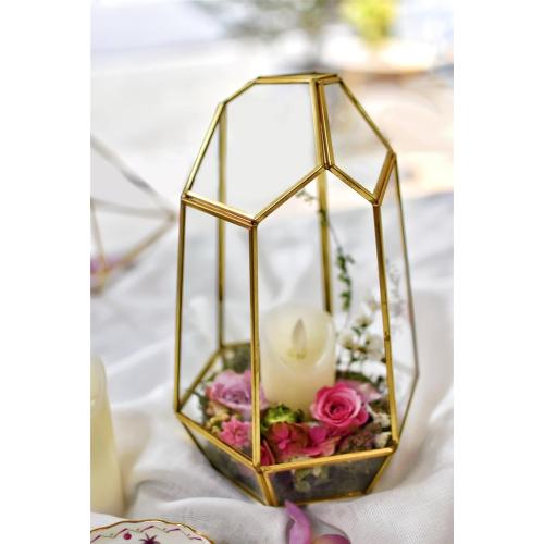NCYP Geometric Glass Terrarium - Irregular Brass Planter Pot for Succulent Air Plants - Home Fairy Garden Decor - 6.5x5.7x9.8 Inches, Gold (No Plants, NO Door)