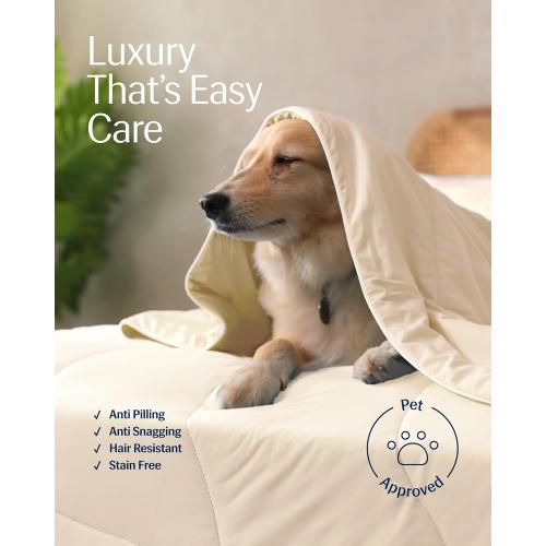 REST® Evercool® Cooling Comforter, Full/Queen, Blanket for Hot Sleepers, All Season Bedding to Keep Cool for Night Sweats, Breathable Lightweight Blanket, 90x90 Inches, Snow Ivory