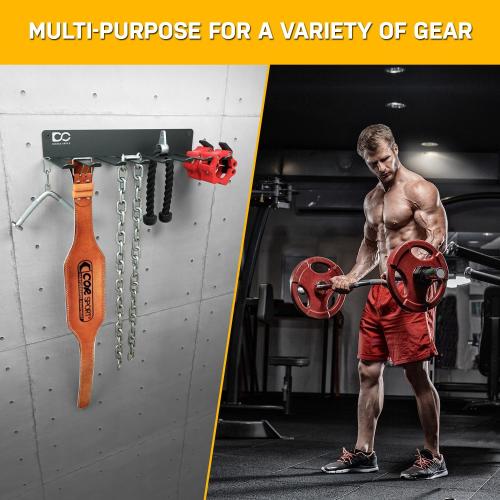 Double Circle Gym Equipment Storage Rack - Multi Purpose Gym Equipment Wall Rack Hanger for Pro Home Gym Storage for Exercise Bands, Barbell Bar, Jump Ropes, Chains, Lifting Belts (17 - Hooks)