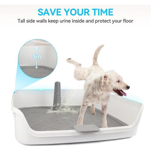 ALL FOR PAWS Dog Potty Tray, 24.8x24.8Indoor Pet Pee Pad Holder with Pee Post, Puppy Potty Trainer, Dog Litter Box and Pet Toilet for Small Medium Dogs, Housebreaking Supplies(Pee Pads Not Included)