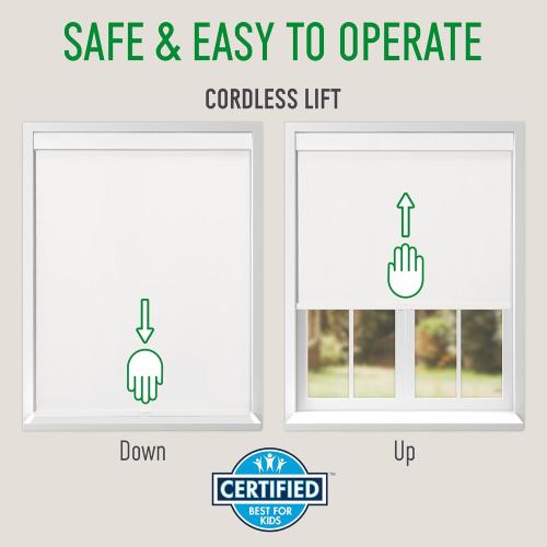 CALYX INTERIORS Blackout Roller Shade with Valance, Thermal Insulating Blind, Cordless, 34.5 W x 60 H, Simple White