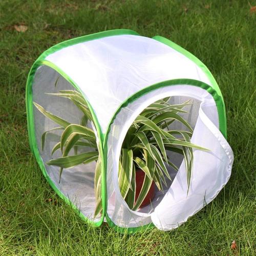 Insect and Butterfly Habitat Cage Terrarium Pop-up 12 X 12 X 12 Inches, Polyester Bottom for Easier Clean