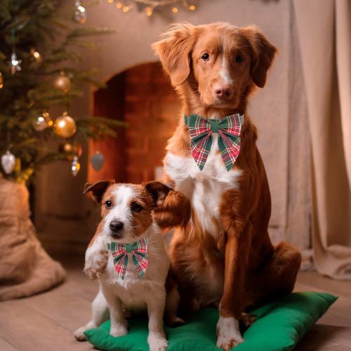 ADOGGYGO Christmas Dog Collar with Bow, Plaid Xmas Dog Bowtie Collar, Adjustable Green Pet Christmas Collars for Small Medium Large Dogs (Medium)
