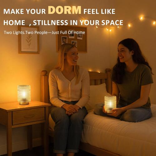 2 Pack Battery Operated Decorative Aesthetic Lamp with Timer for Dorm/Office/ Patio/Bedside/,Small Cordless Table Lamps with LED Warm Bulb for Shelf/Coffee Table/Entryway/ Mantle/Dresser Decor(Clear)