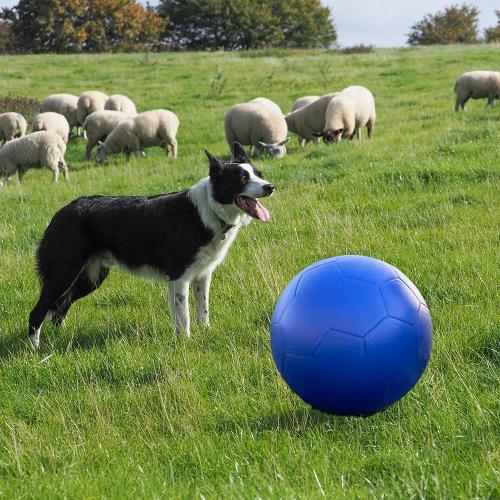 BLUE Herding Ball for Dogs, PU 20 Collie Balls for Australian Shepherd, Border Collies | Pet Toys Large for Gifts