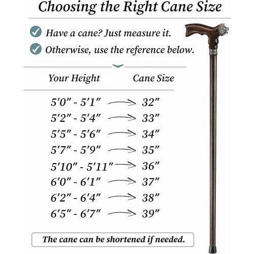 Asterom Walking Cane - Handmade Lion Canes for Men & Women - Wooden, Stylish, Cool Walking Sticks for Men, Seniors
