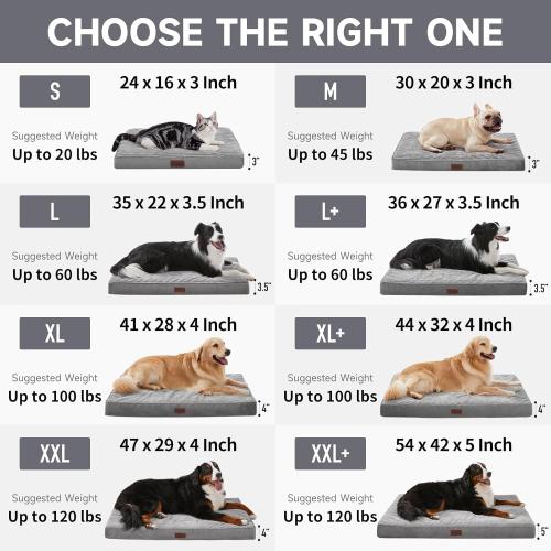 OhGeni Orthopedic Waterproof & Machine Washable Dog Bed for Small Pets, Suitable for Crates, Cat Mat with 25D Egg Crate Foam, Non-Slip Bottom & Removable Cover, 24 Inches(Gray)