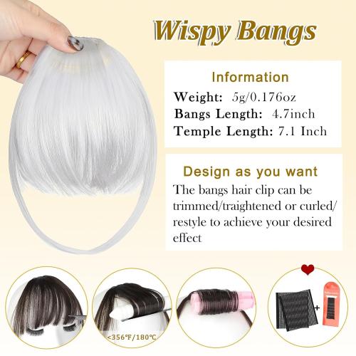 Bangs Hair Clip in Bangs, Fake Bangs Natrual Clip in Hair Extensions, Easy to Use Faux Bangs Clip on bangs, Wispy Bangs Fringe with Temples Hairpieces for Daily Wear (Silver Gray)