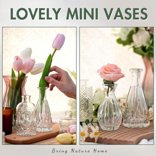 Arme Glass Bud vases in Bulk，Small Glass Flower Vase for Centerpieces 20Pcs