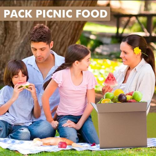 6 Pack Insulated Shipping Box Honeycomb Paper, Insulated Carton with Aluminum Foil Liner, Reusable Large Foil Cooler Carton Moving Kits for Mailing Packing 11 x 6.1 x 7.87