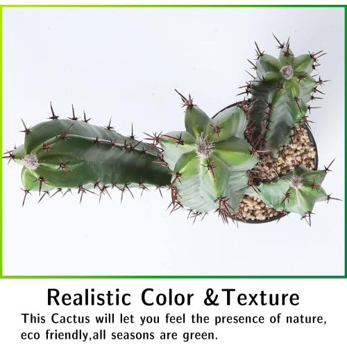 Size 25 Artificial Cactus Fake Big Cactus 25 Inch Faux Cacti Plants for Home Garden Office Store Decoration