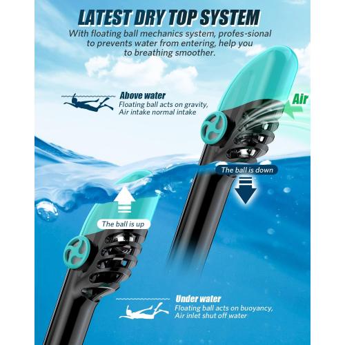 QingSong Full Face Snorkel Mask for Adults, Snorkeling Gear with Camera Mount, 180 Degree Panoramic View Snorkel Set Anti-Fog Anti-Leak