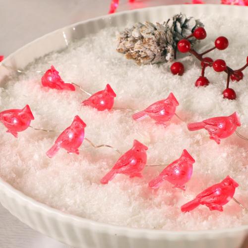 Impress Life Christmas String Lights, Cardinal Red Snow Bird 10 ft 40 LEDs with Remote Timer for Indoor Thanksgiving, Wedding, Birthday, Bedroom, Parties & Home Decorations