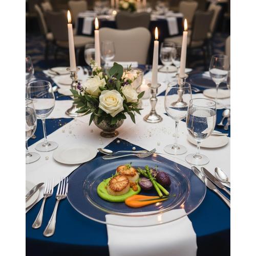bUCLA 100Pieces Clear Plastic Plates -10.25inch Disposable Dinner Plates- Premium Weddings& Party Plates