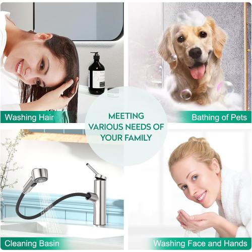 Silver CREA Pull Out Bathroom Faucet Single Hole 1 Handle Utility Sink Faucet with Sprayer Handheld Laundry Room Bath Tub Faucet for Kids Pet Vanity Face Basin Mixer Tap Brushed Nickel Stianless Steel