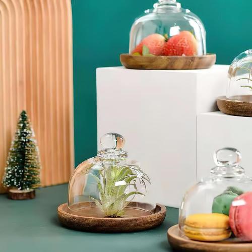 Mini Glass Butter Dish with Lid, Clear Domed Cheese Dish with Handle, Individual Serving Small Butter Tray with Cover, Round Cute Dessert Serving Bowl for Table, Kitchen Countertop, Refrigerator