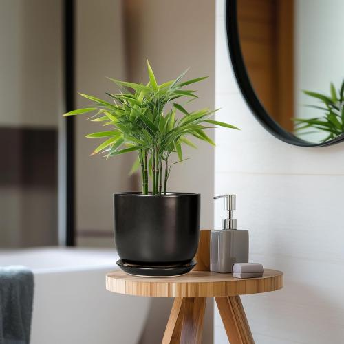 Ceramic Planter 7 Inch - Cylinder Round Modern Indoor Plant Pot for Plants with Drainage Hole and Saucer, Room Home Patio Office Patio Decor, Black