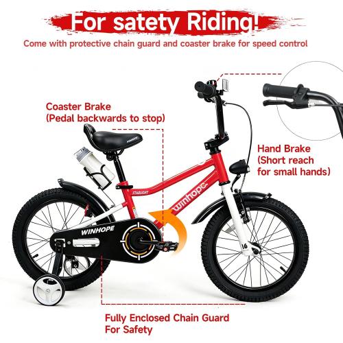 WinHope Kids Bike with Headlight, 12-20 Inch Pedal Bike for 2-12 Boys Girls | Steel Frame with Training Wheels Water Bottle | Dual Brake for Summer Outdoor Riding | Birthday Gift for Toddlers