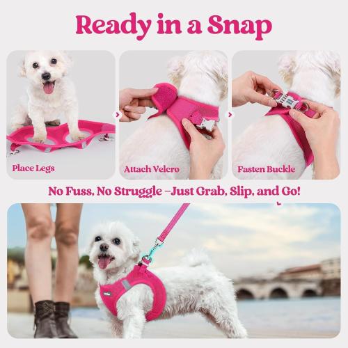 Size M rabbitgoo Dog Harness Small Sized and Leash Set, Step in Soft Light Puppy Vest, Breathable Mesh Pet Harness, Reflective for Safe Easy Walking, Orange and Blue