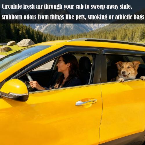 4Pcs Tape On Side Window Rain Guards Window Visors Vent Deflectors Compatible with 2008-2018 Chrysler Town Country/Dodge Grand Caravan, Wind Deflector Smoke 4PCS 94251