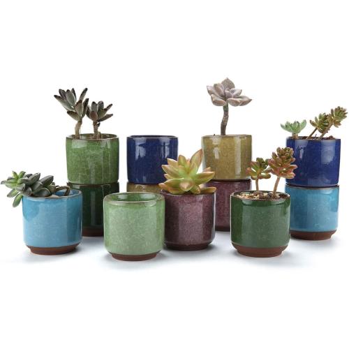 T4U 2.5 Inch Small Ceramic Succulent Planter Pot with Drainage Hole Set of 12, Ice Crack Glaze Plant Container for Cactus, Plant Lover Gifts for Women Mom Coworker Home Office Decor
