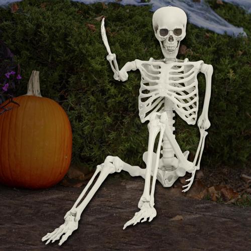 5.4ft Halloween Life Size Skeleton, Posable Halloween Skeleton Life Size Decor, Full Size Skeletons, Outdoor SkeletonHalloween Decorations (White)