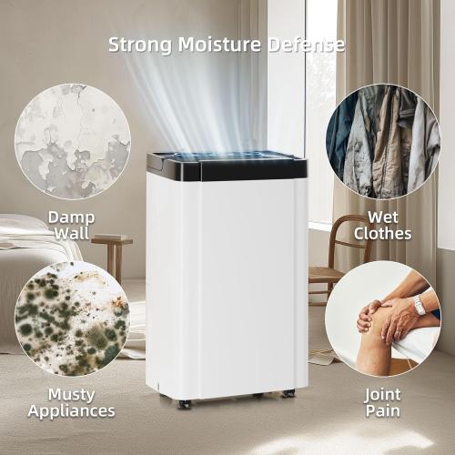 AIRPLUS 4,500 Sq. Ft. 70pint Dehumidifier, Humidity with Auto Shut off, Auto Drain or Manual Drainage, 0.8 gal Water Tank Capacity for Home and Basement