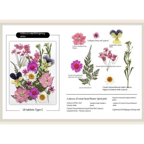 DIY photo album and dried flower embossed decorative plant specimens for accordion creative folding pages (6 * 8), Grey