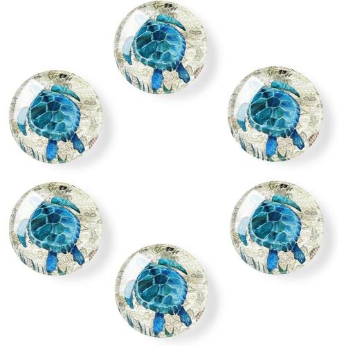 Set of 2 Turtles and sunflowers Round Refrigerator Magnets Glass Fridge Magnets Decoration for Fridge Office Calendar Whiteboard Photo Cabinet 6 Pcs - Retro Turtle